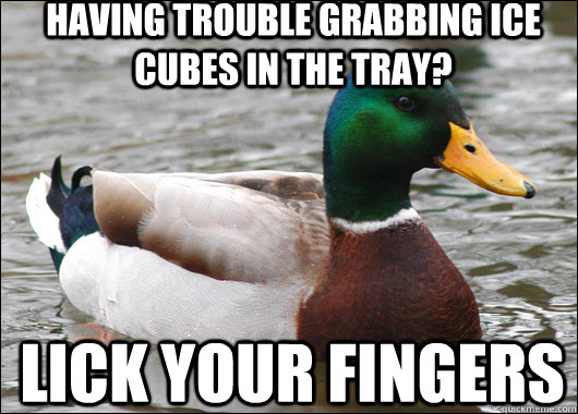 having trouble grabbing ice cubes in the tray? Lick your fingers  Actual Advice Mallard