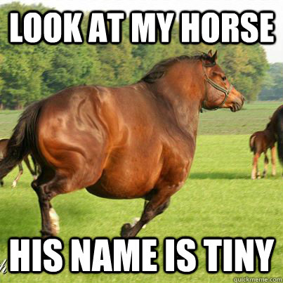 Look at my horse his name is tiny  