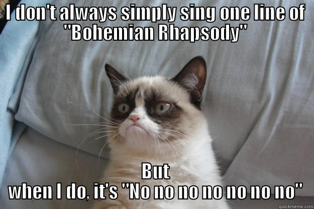 I DON'T ALWAYS SIMPLY SING ONE LINE OF 