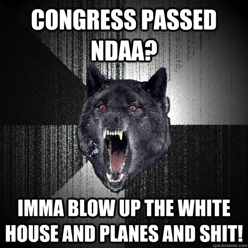 Congress passed ndaa? Imma blow up the white house and planes and shit!  Insanity Wolf