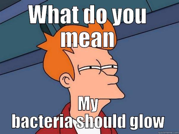 WHAT DO YOU MEAN MY BACTERIA SHOULD GLOW Futurama Fry