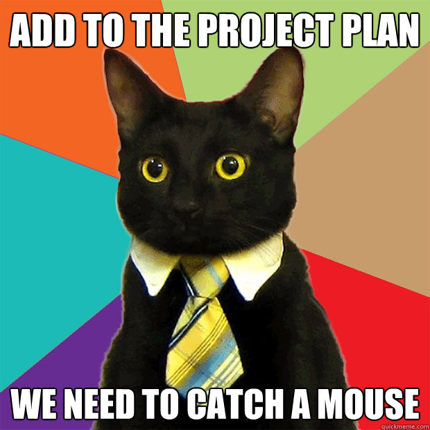 Add to the project Plan We need to catch a mouse  Business Cat