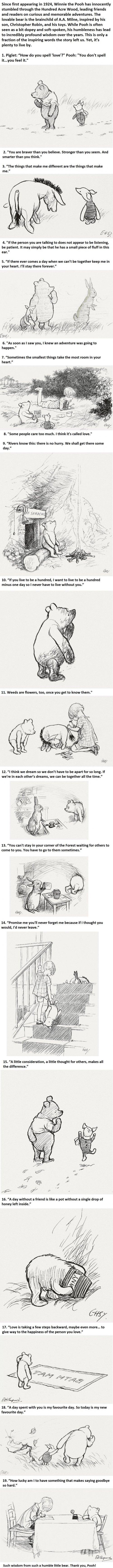  19 Incredibly Wise Truths We Learned From Winnie The Pooh -   Misc