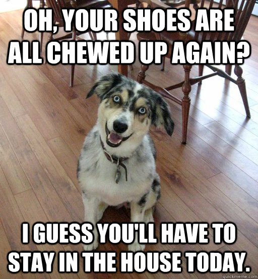Oh, your shoes are all chewed up again? i guess you'll have to stay in the house today. - Oh, your shoes are all chewed up again? i guess you'll have to stay in the house today.  Overly Attached Dog