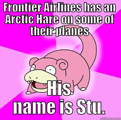 FRONTIER AIRLINES HAS AN ARCTIC HARE ON SOME OF THEIR PLANES HIS NAME IS STU. Slowpoke