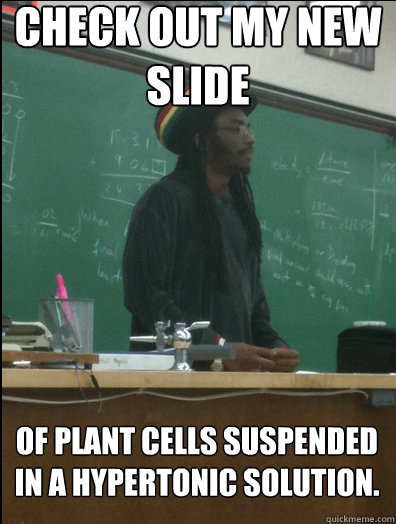 Check out my new slide of plant cells suspended in a hypertonic solution.  Rasta Science Teacher