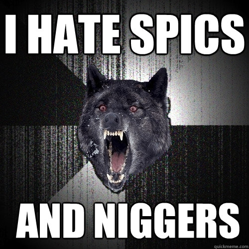 i hate spics  and niggers  Insanity Wolf