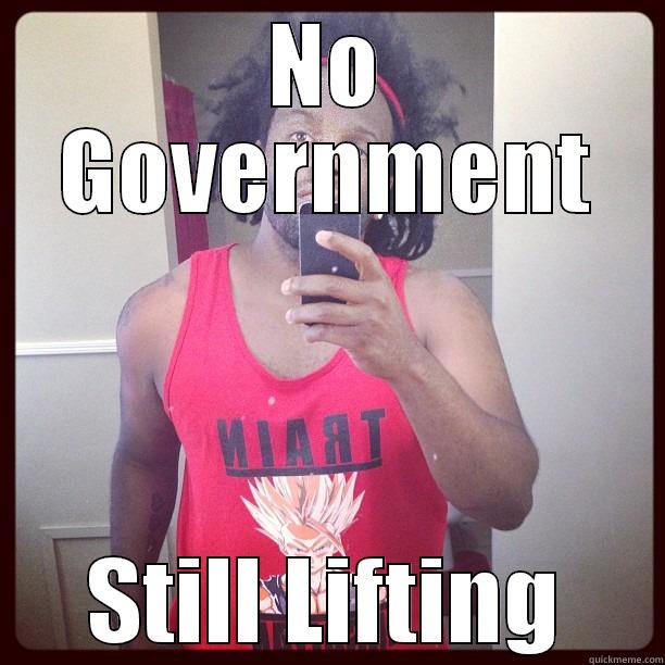 NO GOVERNMENT STILL LIFTING Misc