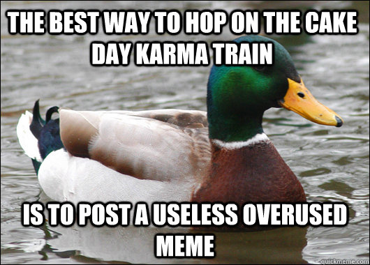 The best way to hop on the cake day karma train Is to post a useless overused meme  Actual Advice Mallard