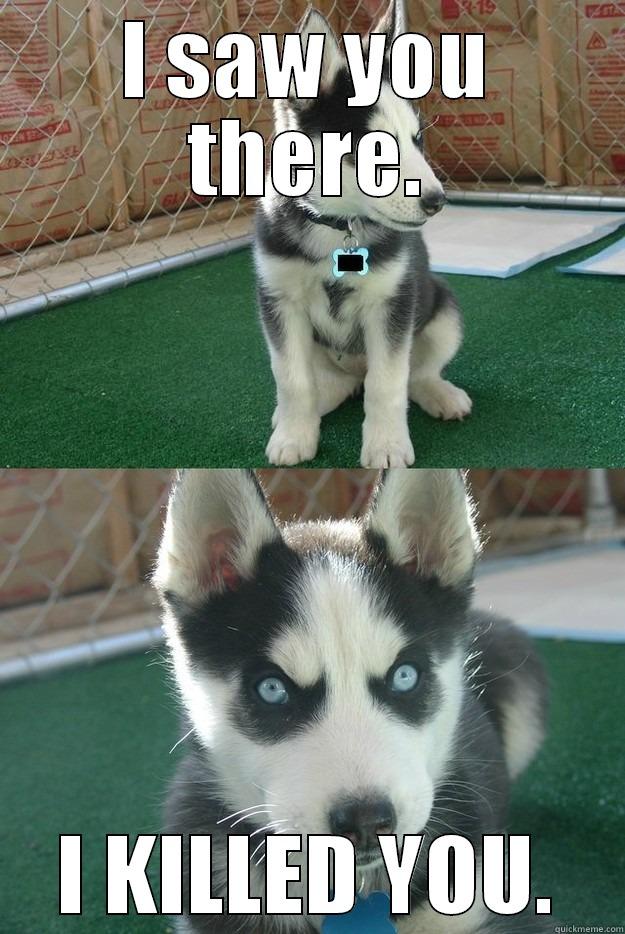 I SAW YOU THERE. I KILLED YOU. Insanity puppy