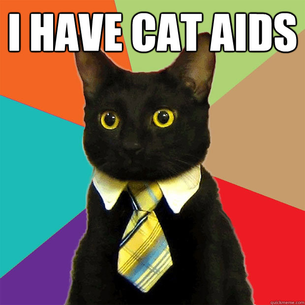 I have cat aids   Business Cat