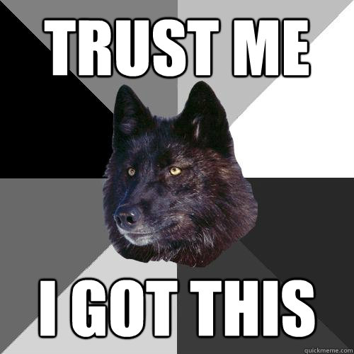Trust Me I Got This - Trust Me I Got This  Sanity Wolf