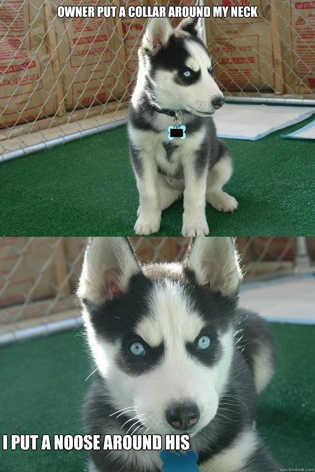 Owner put a collar around my neck I put a noose around his  Insanity puppy