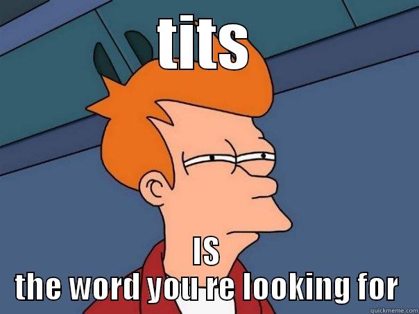 TITS IS THE WORD YOU RE LOOKING FOR Futurama Fry