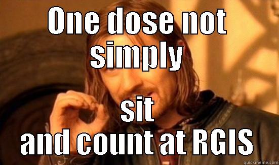 ONE DOSE NOT SIMPLY SIT AND COUNT AT RGIS Boromir