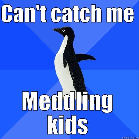 CAN'T CATCH ME  MEDDLING KIDS Socially Awkward Penguin