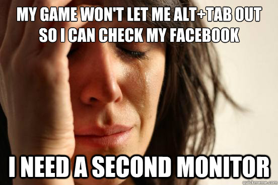 My game won't let me alt+tab out so I can check my facebook I need a second monitor  First World Problems