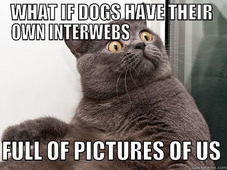WHAT IF DOGS HAVE THEIR OWN INTERWEBS                            FULL OF PICTURES OF US conspiracy cat