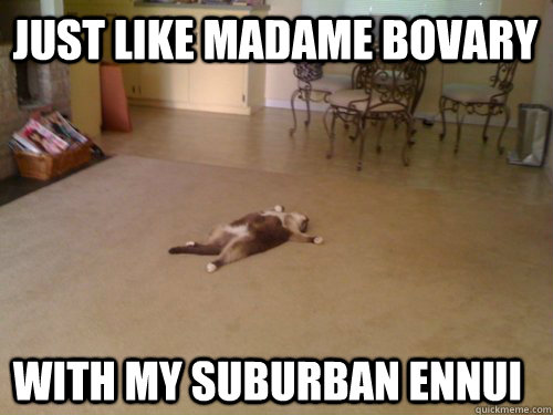 Just like Madame Bovary with my suburban ennui  Down Cat