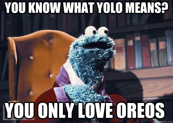 You know what YOLO means? YOU ONLY LOVE OREOS  Cookie Monster