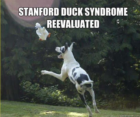 Stanford duck syndrome 
reevaluated - Stanford duck syndrome 
reevaluated  duck syndrome