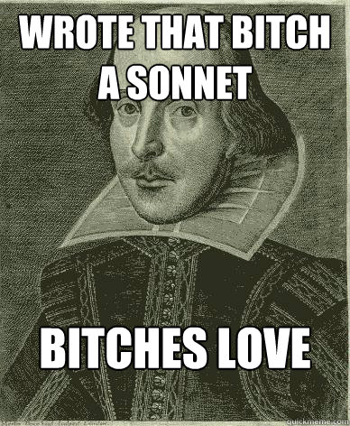 wrote that bitch a sonnet bitches love sonnets - wrote that bitch a sonnet bitches love sonnets  Theatre major shakespeare