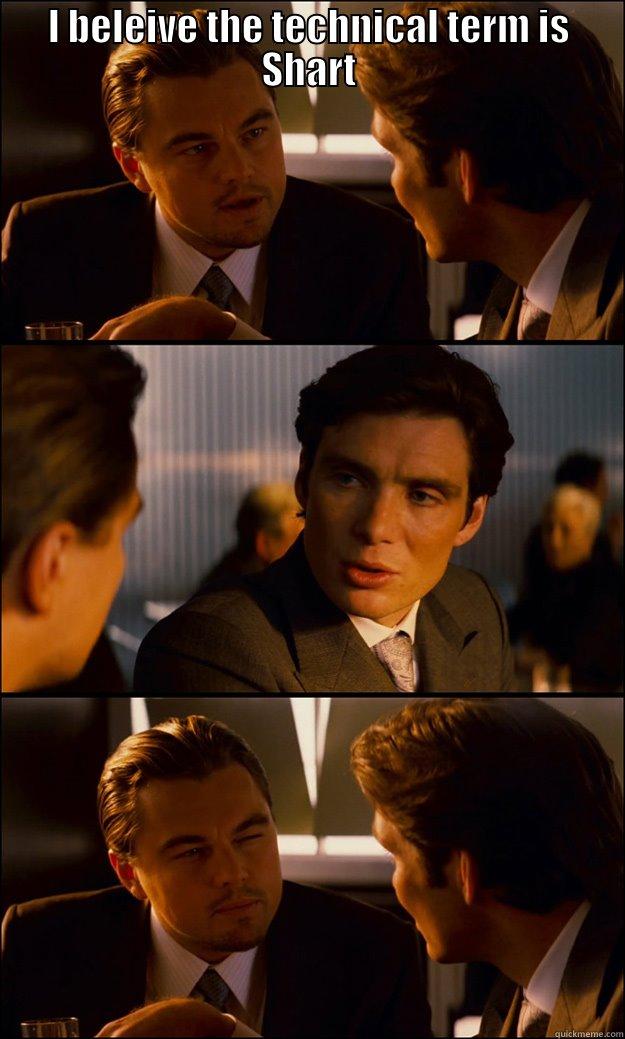 I BELEIVE THE TECHNICAL TERM IS SHART  Inception