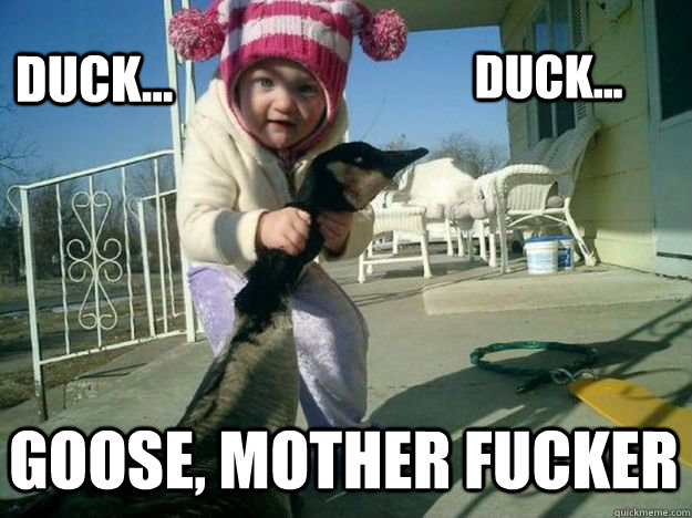 Duck... Duck... GOOSE, MOTHER FUCKER - Duck... Duck... GOOSE, MOTHER FUCKER  Misc
