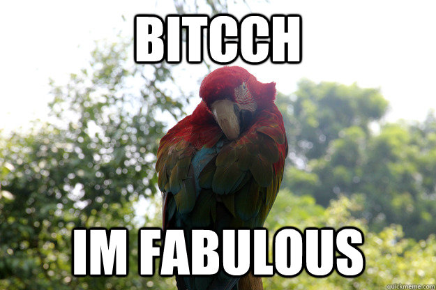 bitcch Im fabulous  