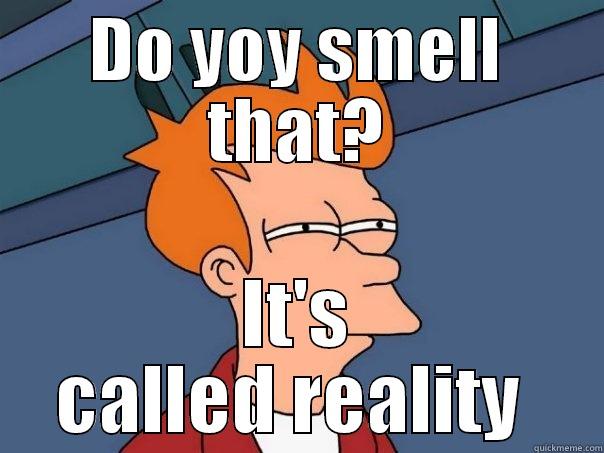 DO YOY SMELL THAT? IT'S CALLED REALITY  Futurama Fry