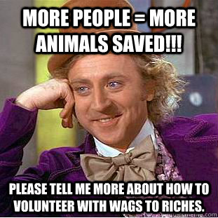 More people = more animals saved!!! please tell me more about how to volunteer with Wags to Riches.  Condescending Wonka