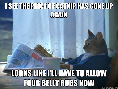 I see the price of catnip has gone up again looks like i'll have to allow four belly rubs now  The One Percent Cat