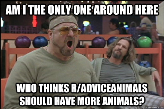 Am I the only one around here who thinks r/adviceanimals should have more animals?  Angry Walter