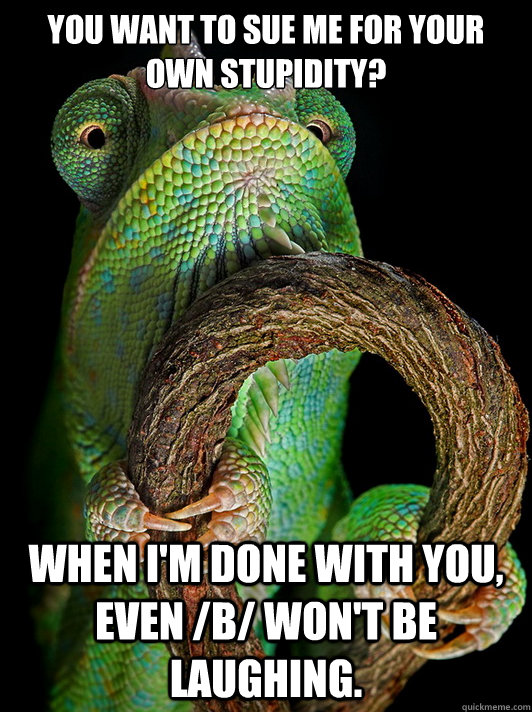 You want to sue me for your own stupidity? When I'm done with you, even /b/ won't be laughing.  