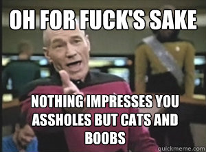 oh for fuck's sake nothing impresses you assholes but cats and boobs - oh for fuck's sake nothing impresses you assholes but cats and boobs  Annoyed Picard
