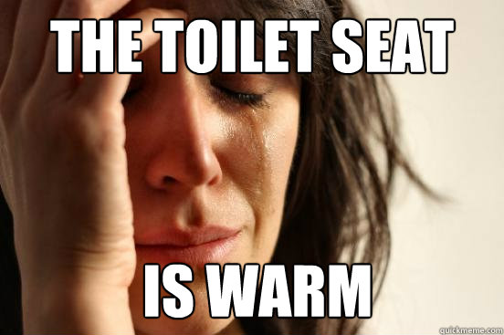 the toilet seat  is warm  First World Problems