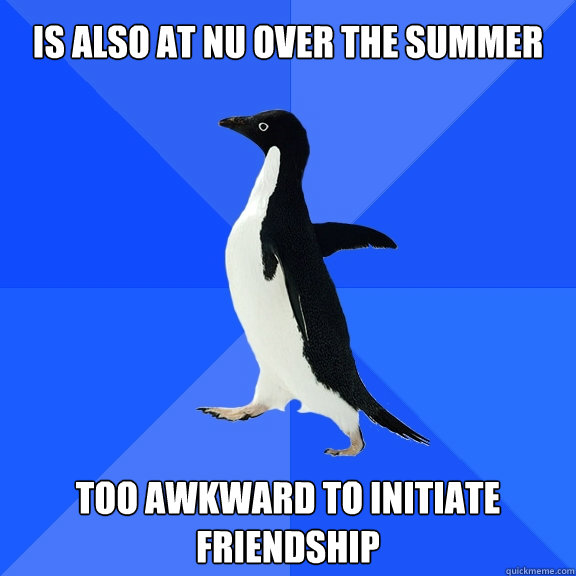 is also at NU over the summer Too awkward to initiate friendship  Socially Awkward Penguin