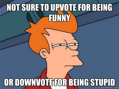 Not sure to upvote for being funny or downvote for being stupid  Fry meme