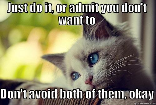 JUST DO IT, OR ADMIT YOU DON'T WANT TO DON'T AVOID BOTH OF THEM, OKAY First World Problems Cat