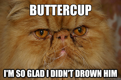 Buttercup I'm so glad I didn't drown him - Buttercup I'm so glad I didn't drown him  Buttercup from Hunger Games