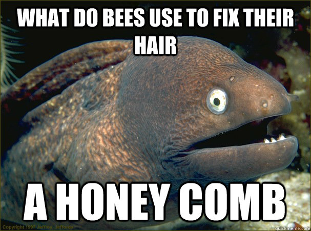 What do bees use to fix their hair  A Honey comb  Bad Joke Eel