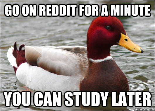 go on reddit for a minute you can study later  Malicious Advice Mallard