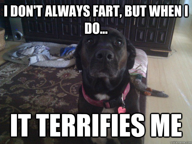 I don't always fart, but when I do... It Terrifies me  
