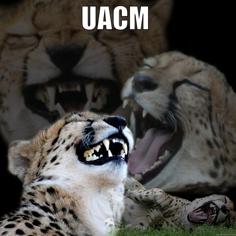 LAUGH CHEETAH - UACM  Misc