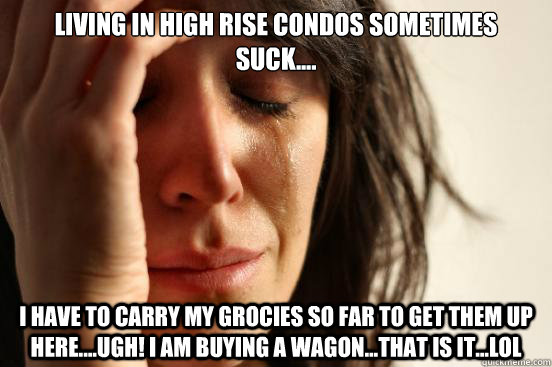 Living in high rise condos sometimes suck.... I have to carry my grocies so far to get them up here....ugh! I am buying a wagon...that is it...lol  First World Problems