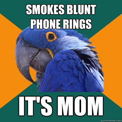 smokes blunt
phone rings it's mom  Paranoid Parrot