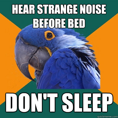 hear strange noise before bed don't sleep   Paranoid Parrot