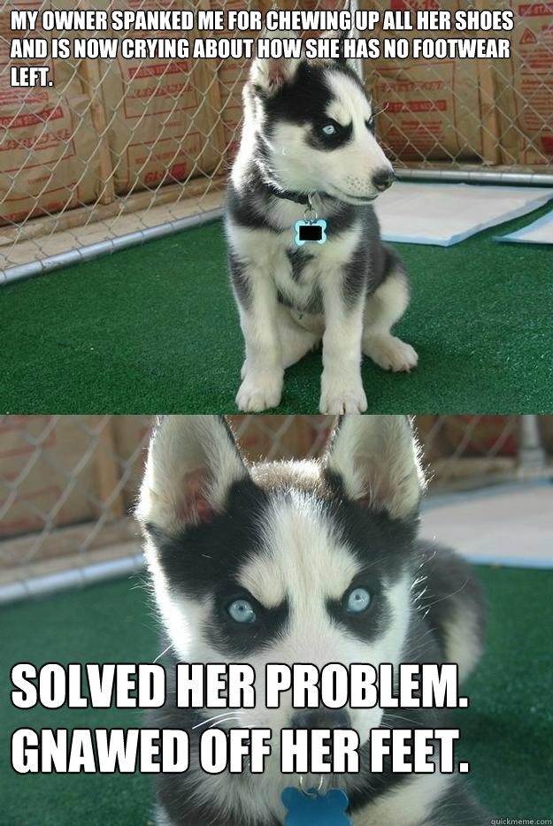 My owner spanked me for chewing up all her shoes and is now crying about how she has no footwear left. Solved her problem. Gnawed off her feet.  Insanity puppy