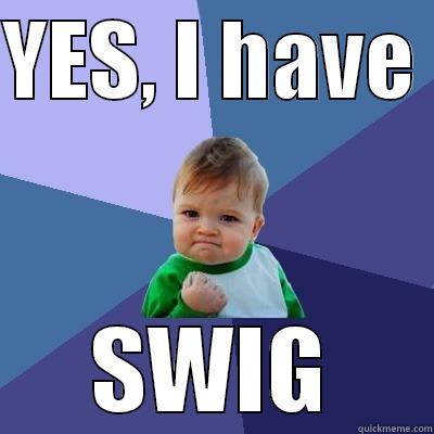 YES, I HAVE  SWIG Success Kid