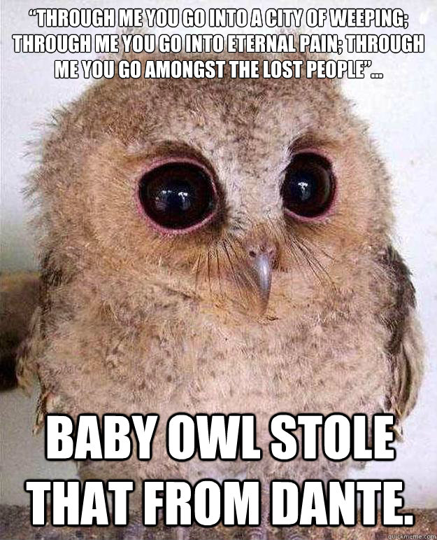 “Through me you go into a city of weeping; through me you go into eternal pain; through me you go amongst the lost people”... Baby Owl stole that from Dante. - “Through me you go into a city of weeping; through me you go into eternal pain; through me you go amongst the lost people”... Baby Owl stole that from Dante.  Baby Owl Dante